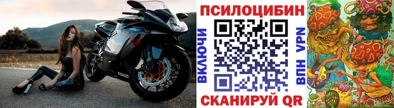 где можно купить наркотик Безенчук hydra ссылки Псилоцибиновые грибы мицелий
